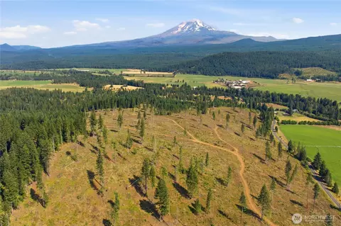 0 Little Mountain Rd, Trout Lake, WA 98650