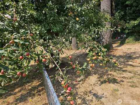 Exterior - 283 Middle Fork Rd, Chehalis, WA 98532 photo 8 of 16