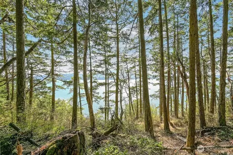 6982 Cape George Rd, Port Townsend, WA 98368