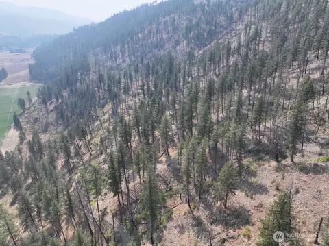 0 Gold Creek Loop Rd, Carlton, WA 98814