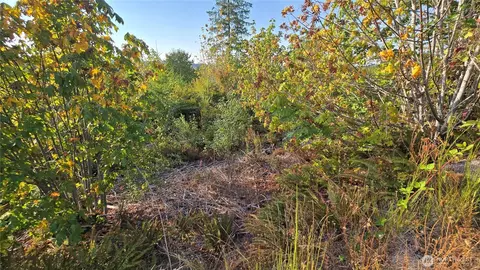 16001 223rd Ave E, Orting, WA 98360 photo 14