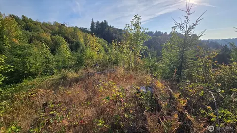 16001 223rd Ave E, Orting, WA 98360 photo 8