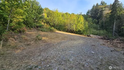 16001 223rd Ave E, Orting, WA 98360 photo 25