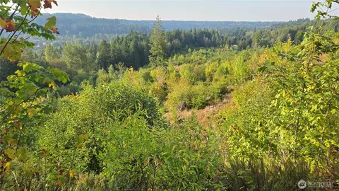 16001 223rd Ave E, Orting, WA 98360 photo 2