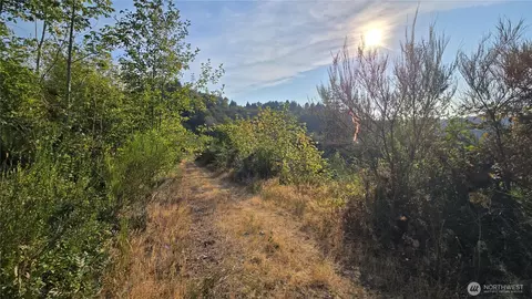 16001 223rd Ave E, Orting, WA 98360 photo 9
