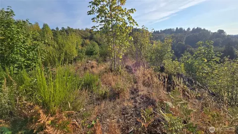 16001 223rd Ave E, Orting, WA 98360 photo 6