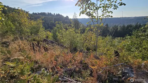 16001 223rd Ave E, Orting, WA 98360 photo 7