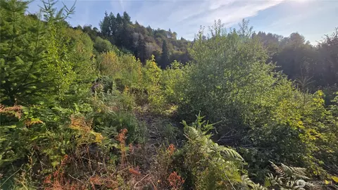 16001 223rd Ave E, Orting, WA 98360 photo 18