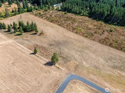 0 Mcglaughlin Rd #5, Winlock, WA 98596 photo 4