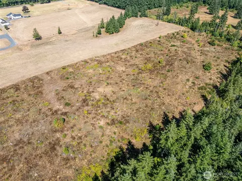 0 Mcglaughlin Rd #5, Winlock, WA 98596 photo 7