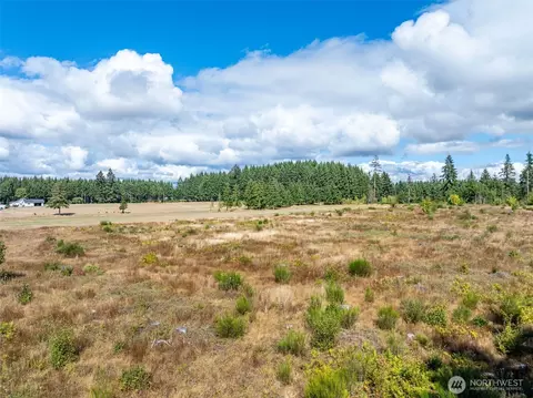 0 Mcglaughlin Rd #5, Winlock, WA 98596 photo 19