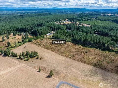 0 Mcglaughlin Rd #5, Winlock, WA 98596 photo 11