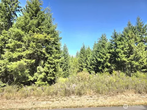 19710 146th Ave SE, Yelm, WA 98597