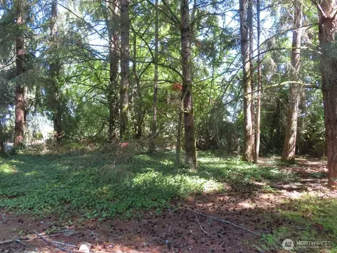 8021 Afflerbaugh Ct SE, Lacey, WA 98503