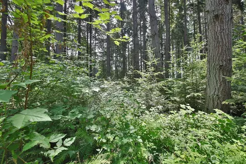0 Nnn Hellman Rd, Clinton, WA 98236 photo 24