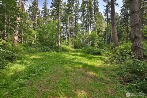 0 Nnn Hellman Rd, Clinton, WA 98236 photo 6
