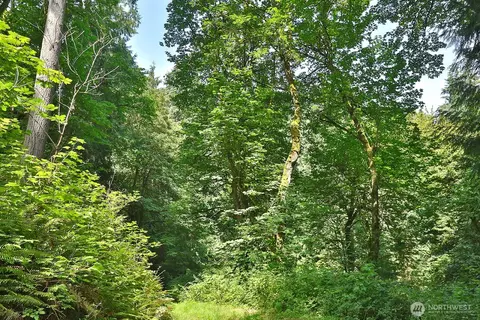 0 Nnn Hellman Rd, Clinton, WA 98236 photo 18