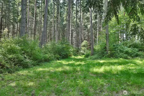 0 Nnn Hellman Rd, Clinton, WA 98236 photo 3