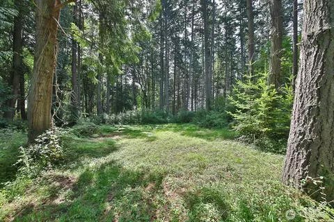0 Nnn Hellman Rd, Clinton, WA 98236 photo 26