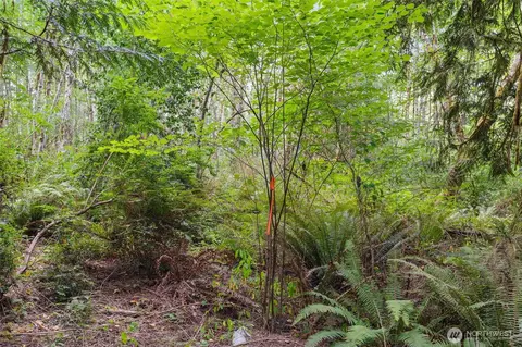 0 E Lombard Rd N, Grapeview, WA 98546 photo 26