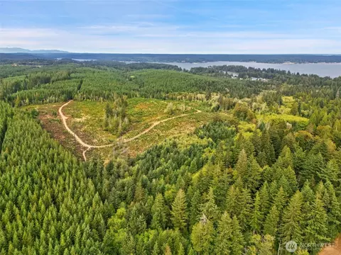 0 E Lombard Rd N, Grapeview, WA 98546 photo 21