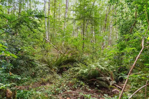 0 E Lombard Rd N, Grapeview, WA 98546 photo 30