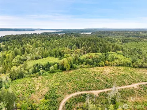 0 E Lombard Rd N, Grapeview, WA 98546 photo 10