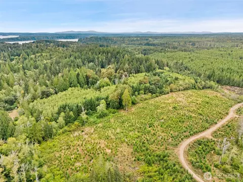 0 E Lombard Rd N, Grapeview, WA 98546 photo 9