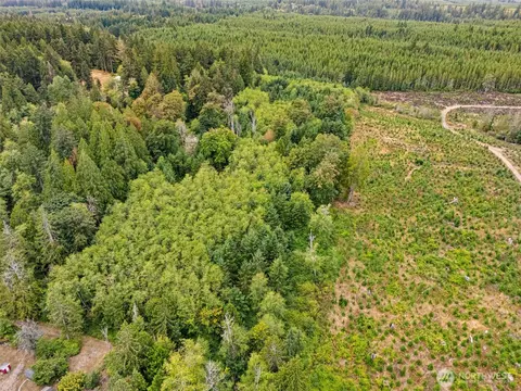 0 E Lombard Rd N, Grapeview, WA 98546 photo 6