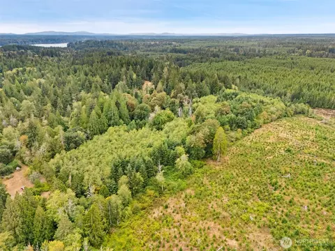 0 E Lombard Rd N, Grapeview, WA 98546 photo 7