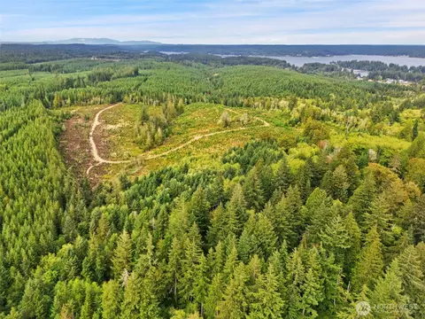 0 E Lombard Rd N, Grapeview, WA 98546 photo 23