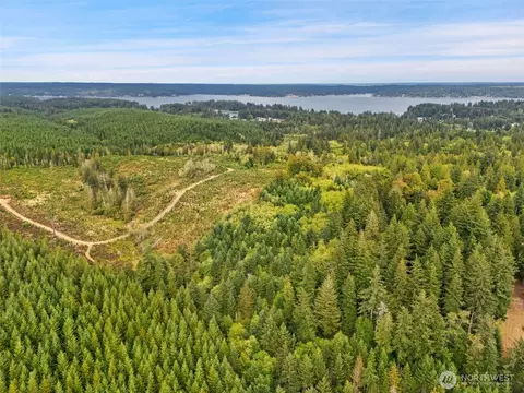 0 E Lombard Rd N, Grapeview, WA 98546 photo 20