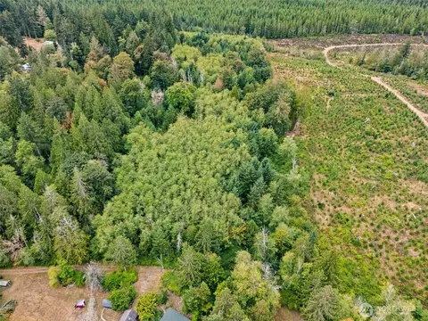 0 E Lombard Rd N, Grapeview, WA 98546 photo 5