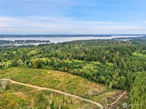 0 E Lombard Rd N, Grapeview, WA 98546 photo 13