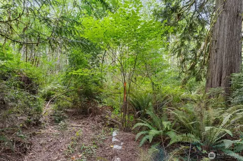 0 E Lombard Rd N, Grapeview, WA 98546 photo 27