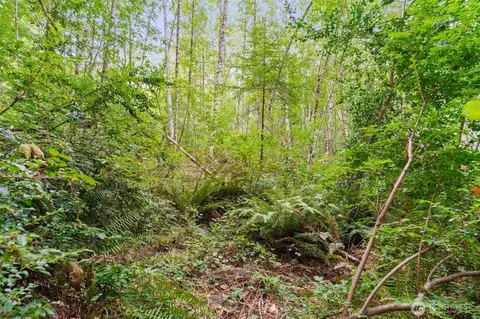 0 E Lombard Rd N, Grapeview, WA 98546 photo 29