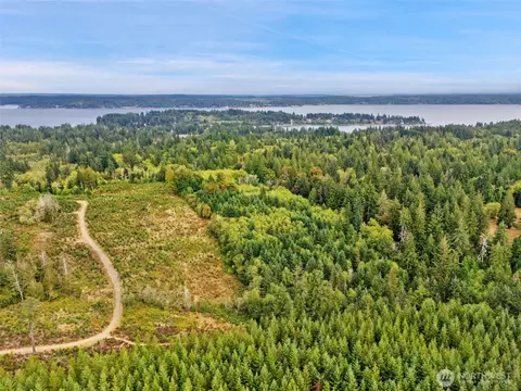 0 E Lombard Rd N, Grapeview, WA 98546 photo 15