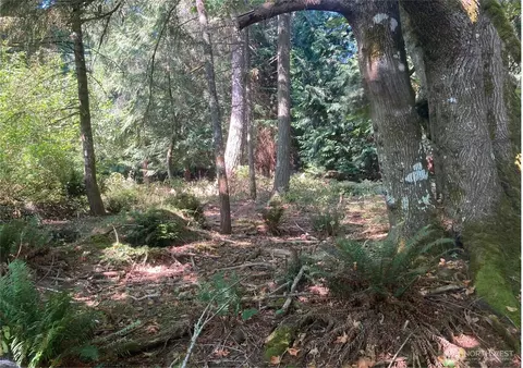 10919 Riviera Dr, Anderson Island, WA 98303