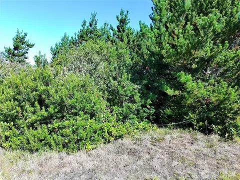 362 King Cyrus Loop SW, Ocean Shores, WA 98569