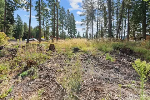 25711 Bridle Ln, Leavenworth, WA 98826