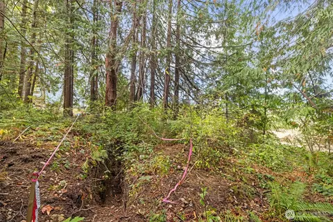 9999 Old Gardiner Rd, Sequim, WA 98382 photo 15