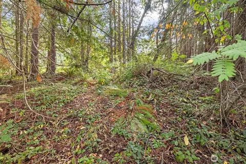 9999 Old Gardiner Rd, Sequim, WA 98382 photo 17