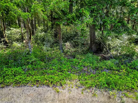 10205 Eckenstam Johnson Rd, Anderson Island, WA 98303