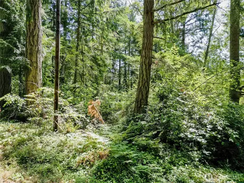 12212 Sound Dr, Anderson Island, WA 98303