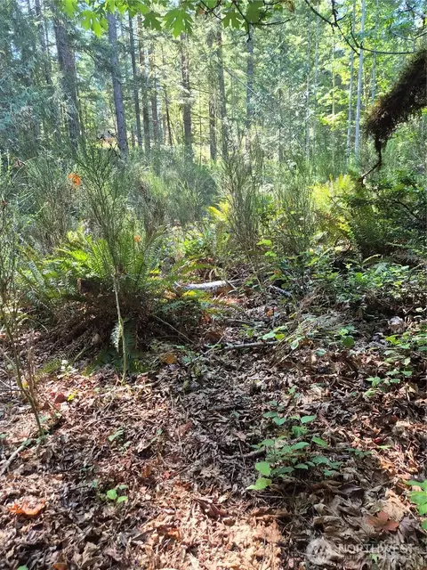 2755 Lost Creek Ln NW, Bremerton, WA 98312