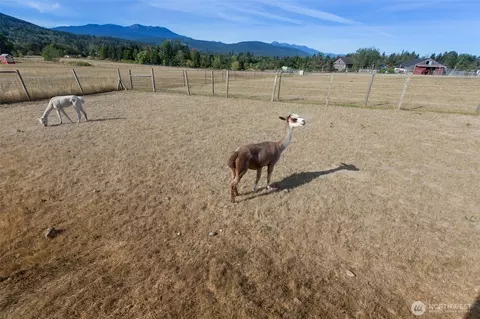 Other - 4629 Happy Valley Rd, Sequim, WA 98382 photo 10 of 11