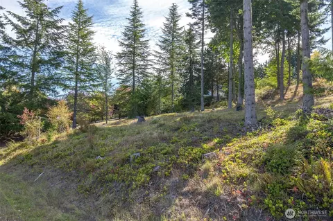 346 Ravens Ridge Rd, Sequim, WA 98382 photo 10