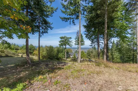 346 Ravens Ridge Rd, Sequim, WA 98382 photo 4
