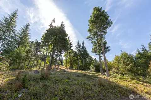 346 Ravens Ridge Rd, Sequim, WA 98382 photo 16