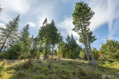 346 Ravens Ridge Rd, Sequim, WA 98382 photo 14